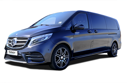 MINIBUS MERCEDES CLASSE V 250